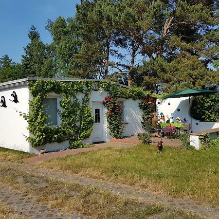 Ferienhaeuschen Villa Born Bagian luar foto