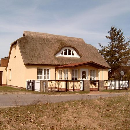 Ferienhaeuschen Villa Born Bagian luar foto