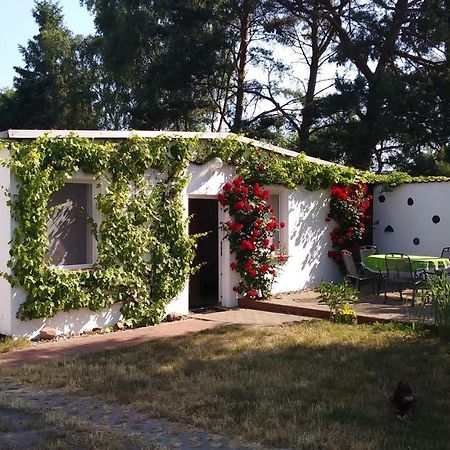 Ferienhaeuschen Villa Born Bagian luar foto