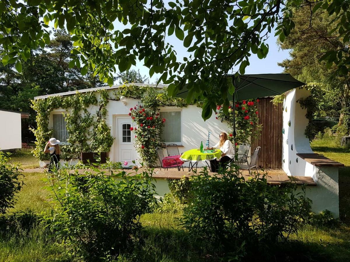 Ferienhaeuschen Villa Born Bagian luar foto