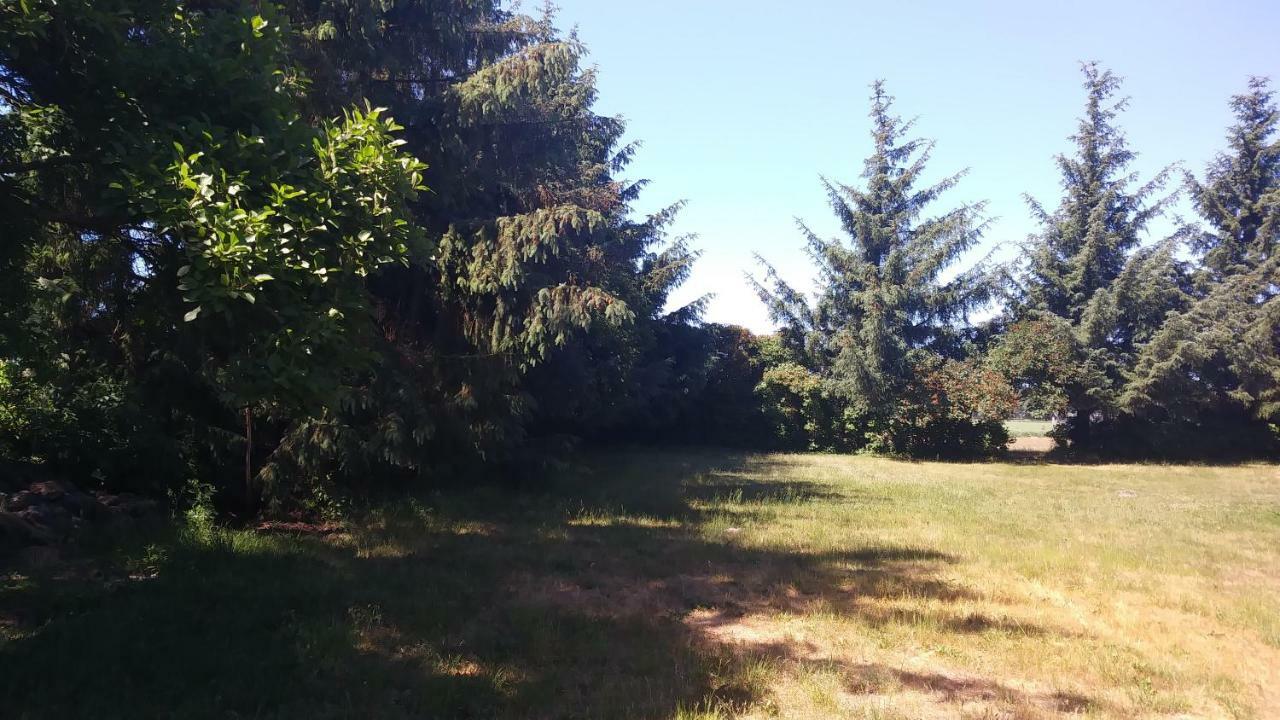 Ferienhaeuschen Villa Born Bagian luar foto