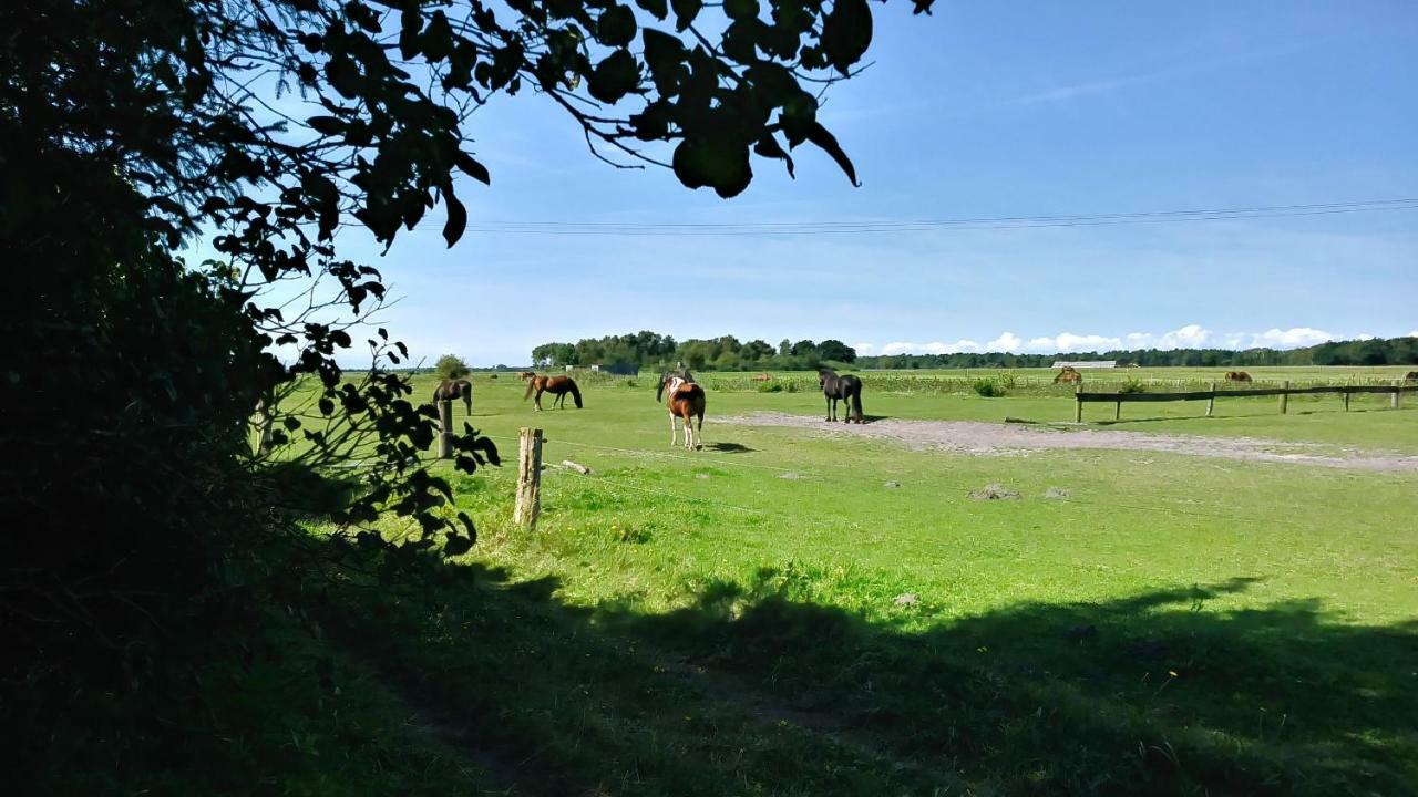 Ferienhaeuschen Villa Born Bagian luar foto
