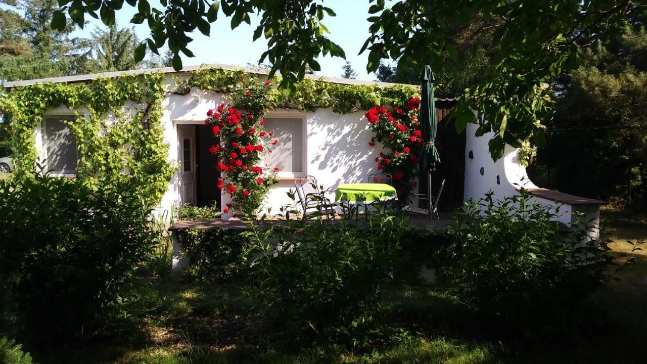 Ferienhaeuschen Villa Born Bagian luar foto