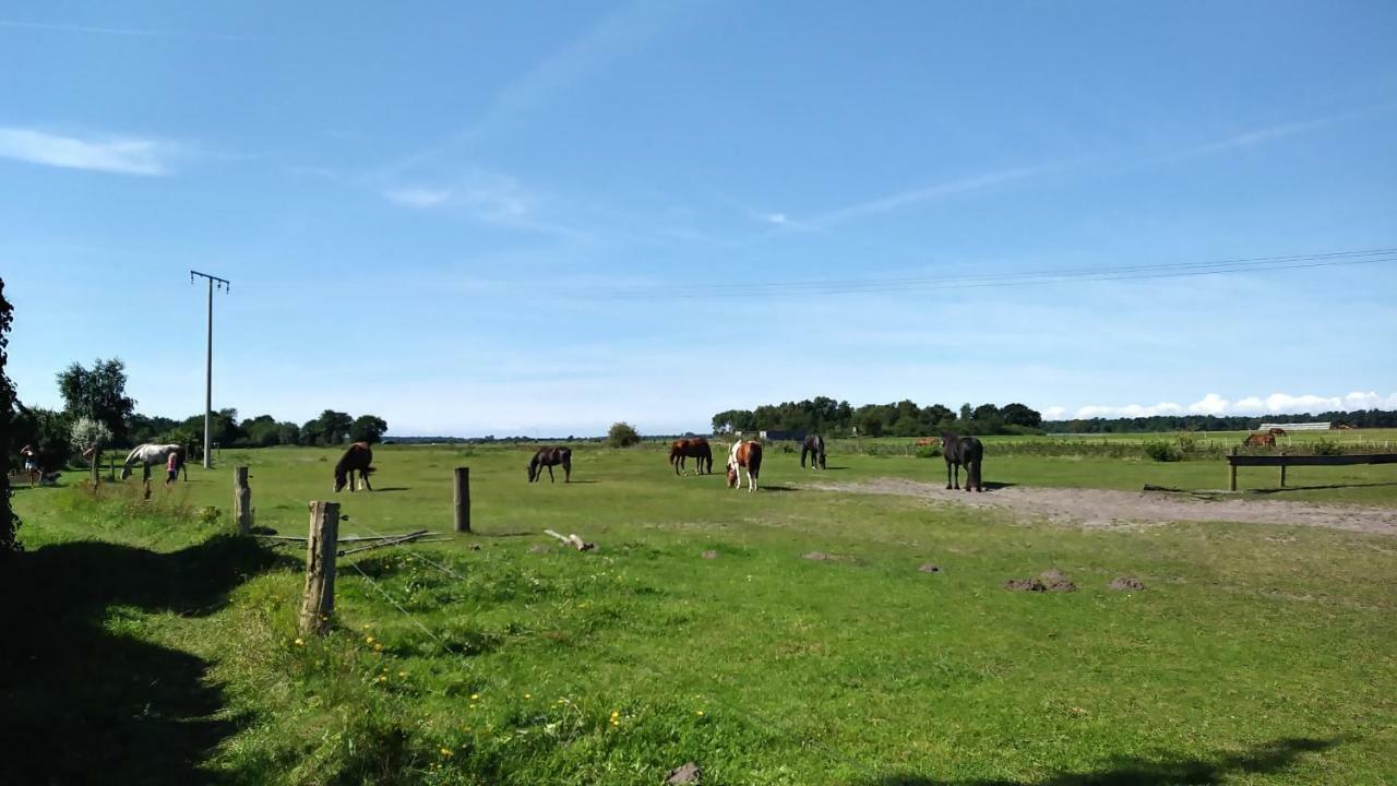 Ferienhaeuschen Villa Born Bagian luar foto