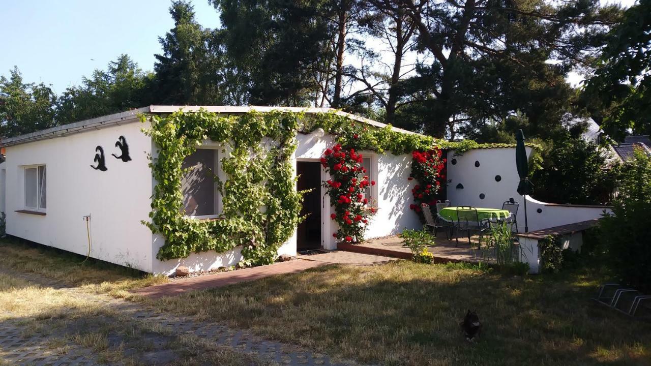 Ferienhaeuschen Villa Born Bagian luar foto