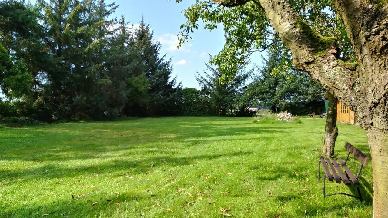 Ferienhaeuschen Villa Born Bagian luar foto