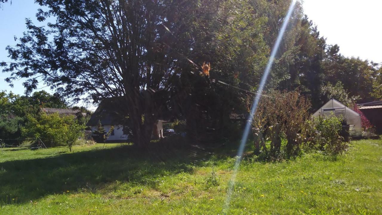 Ferienhaeuschen Villa Born Bagian luar foto